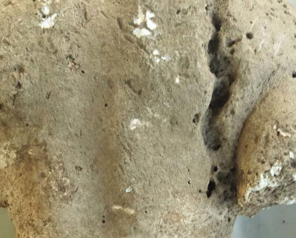 Descubre un yacimiento de la Antigua Grecia al plantar olivos