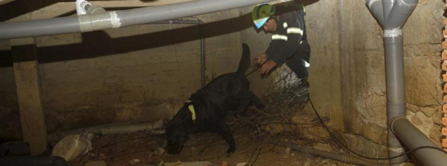 Los perros de rescate de Casaga demuestran su valía en el Encuentro Internacional