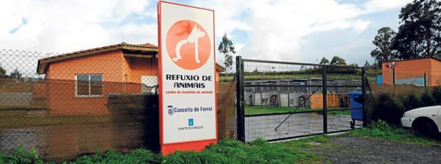La perrera mancomunada comenzará  a funcionar el próximo mes de julio