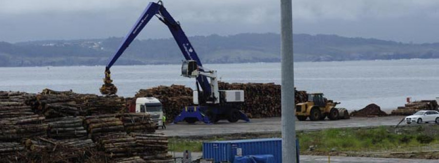 El tráfico de madera aumenta pese al conflicto por la rebaja del precio