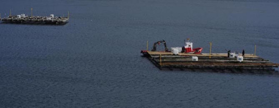 El episodio tóxico mantiene cerradas las bateas de Punta San Carlos por segunda semana consecutiva