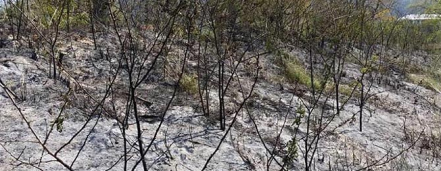 Un incendio provocado calcina una zona de arbustos al pie de la playa de A Magdalena, en Cedeira