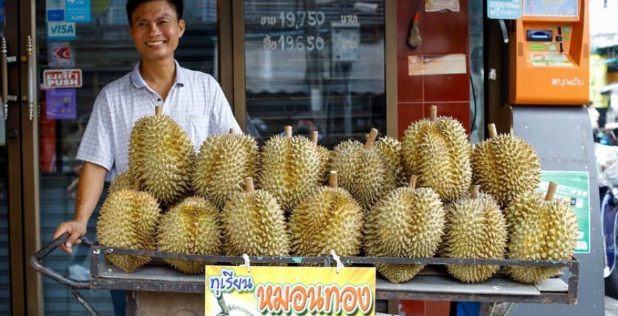 El durian, la fruta apestosa que levanta odios y pasiones
