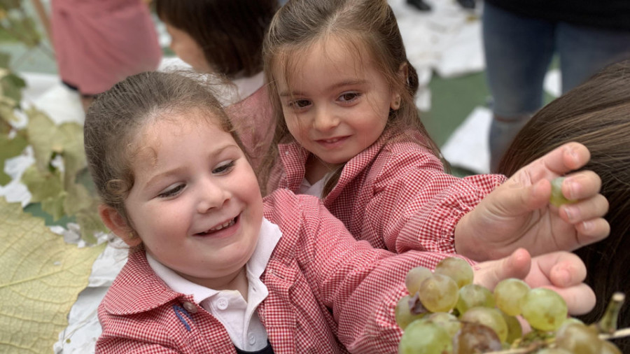 Más de 200 escolares del colegio Ludy participaron en su ya tradicional vendimia