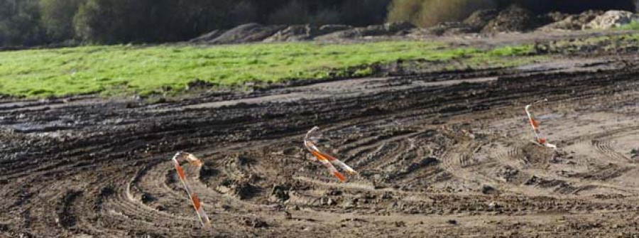 Verdegaia denuncia la destrucción del hábitat de anfibios protegidos en Papoi