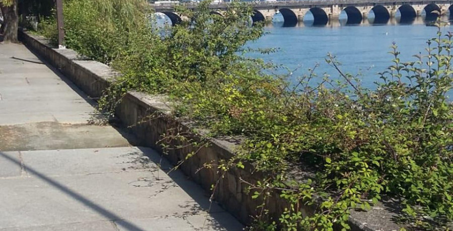 Los vecinos de Pontedeume y Narón piden una limpieza adecuada de sus caminos