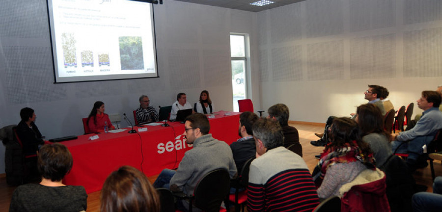 Biomasa Forestal reúne en As Pontes a sus socios del proyecto ambiental “Life+ Enerbioscrub”