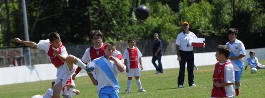 FENE - El pleno aprueba el proyecto de ejecución para la construcción del campo de fútbol de O Pote