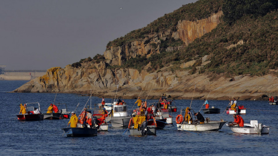 Las cofradías de la ría cierran agosto con una gran caída en las capturas