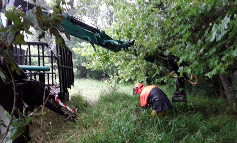 Augas de Galicia ejecuta labores de limpieza en tramos interurbanos del río Freixeiro