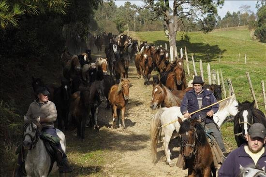 Mondoñedo celebra As San Lucas, una feria equina que supera los ocho siglos