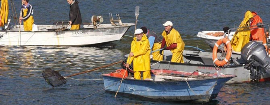 Mariscadores de la ría constituyen una cooperativa para mejorar la gestión de los recursos