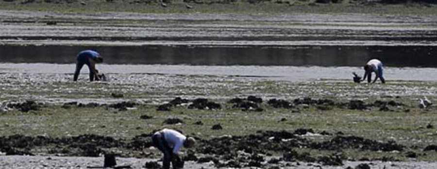 Mar y cofradías lucharán juntas por erradicar el furtivismo de la ría