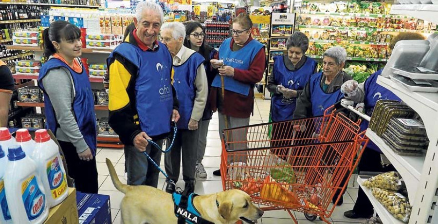 Reportaje | Grandes y pequeños terapeutas de cuatro patas como revulsivo contra el olvido