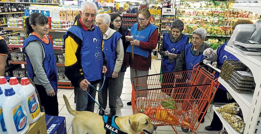 Reportaje | Grandes y pequeños terapeutas de cuatro patas como revulsivo contra el olvido