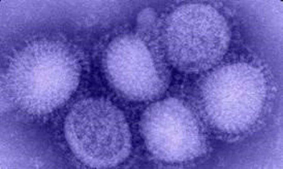 La temporada de gripe termina febrero con apenas ocho detecciones, frente a 8.737 el año pasado