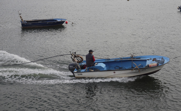 Las ventas de pescado en Ferrol cayeron un 9,75% el pasado año