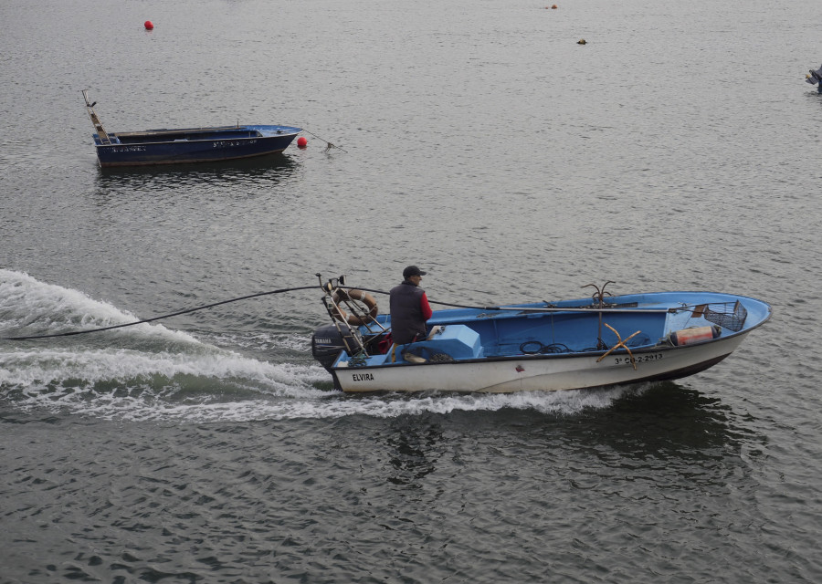 Las ventas de pescado en Ferrol cayeron un 9,75% el pasado año