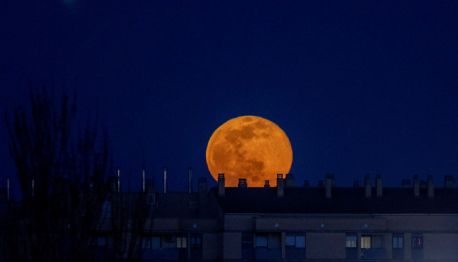 La Luna es un arca de Noé moderna