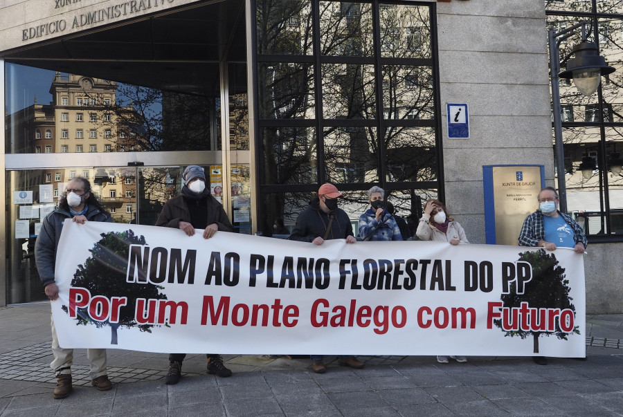 Ferrol se une a las protestas contra el nuevo plan forestal de la Xunta