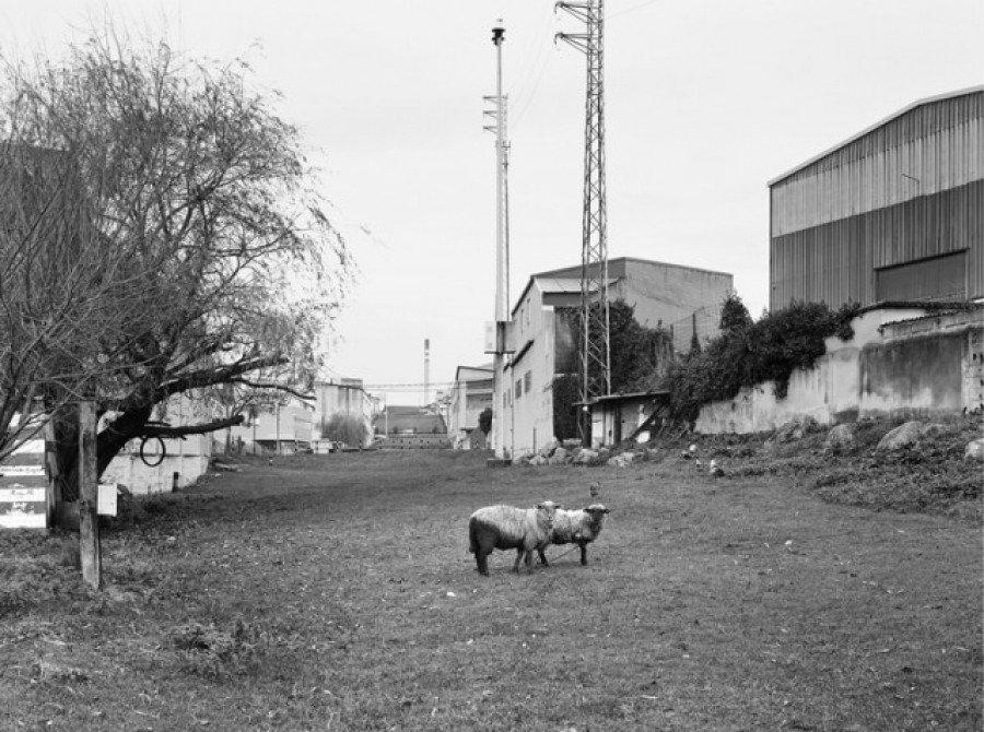 Visita al MUV, el museo sin aforos, sin distancias y que tampoco existe