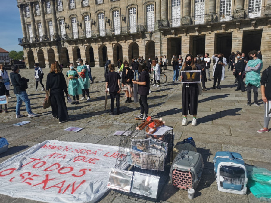 Decenas de personas se concentran en Santiago en contra de Vivotecnia y la "crueldad animal" en los laboratorios