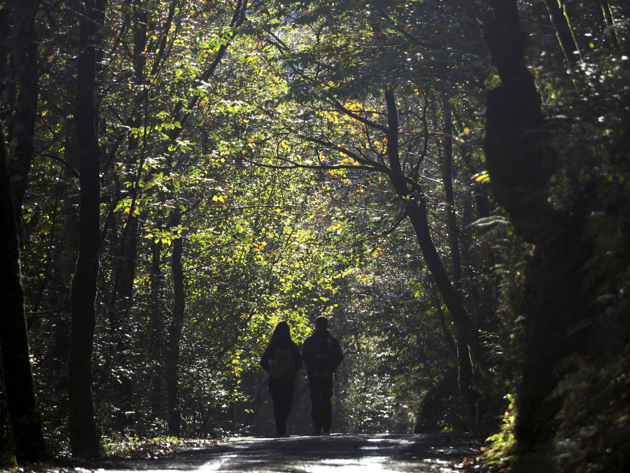 As Pontes edita una guía de plantas del parque natural Fragas do Eume