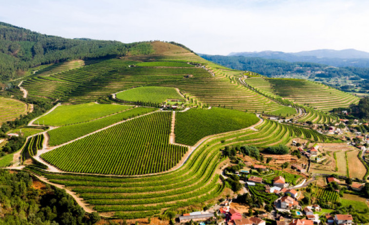 Altos de Torona, el vino sostenible que respira Atlántico