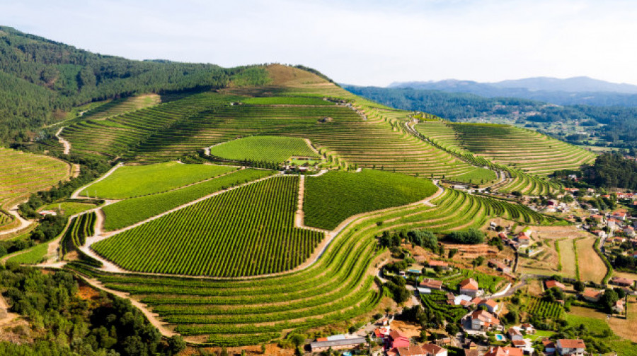 Altos de Torona, el vino sostenible que respira Atlántico