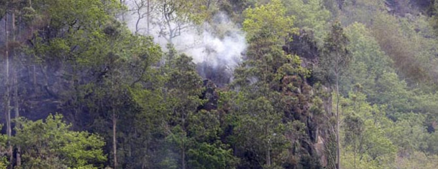 EUME - Los propietarios de las Fragas venden la madera quemada en el incendio de 2012