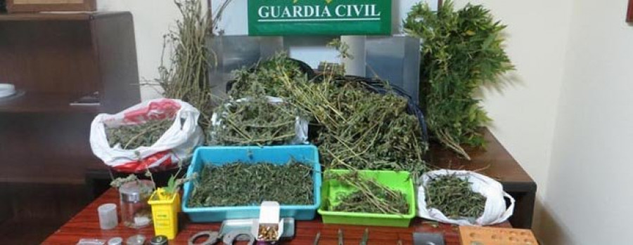 La Guardia Civil detuvo a una pareja de Fene por cultivar marihuana en su casa