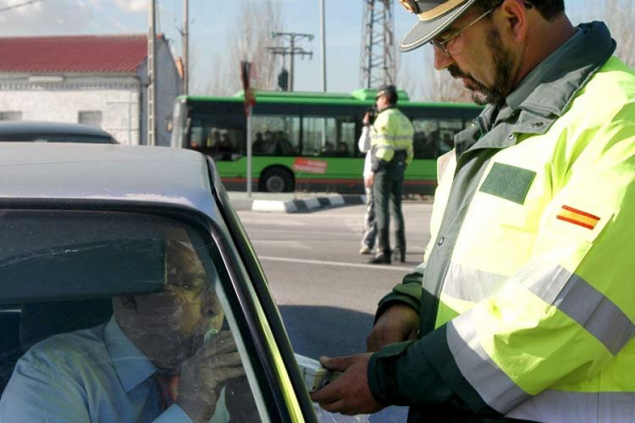 Todo un animaliño al volante en Melide