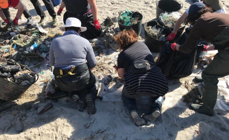 Las mariscadoras de Cedeira se implican en el programa “Mar Limpo”