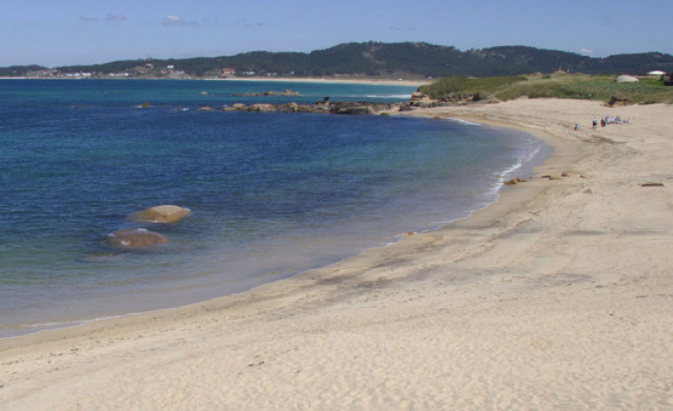 Este verano toca compartir tierra