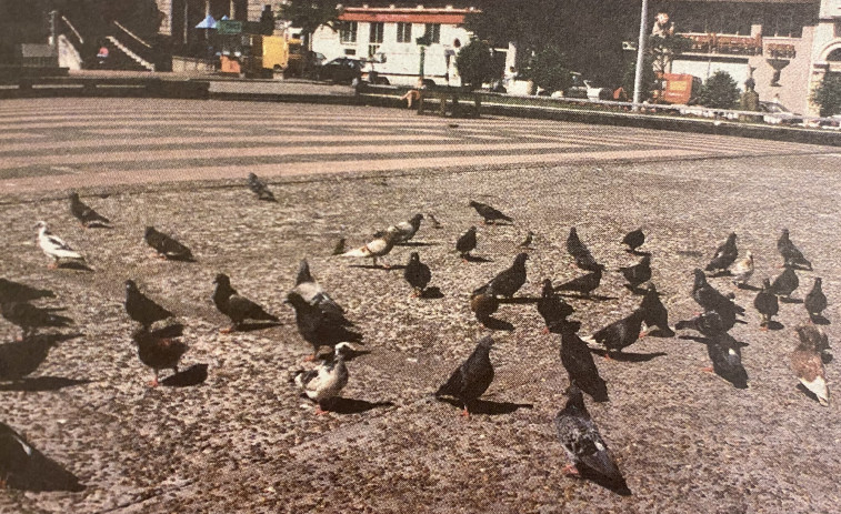 Hace 25 años: Guerra a las palomas y homenaje al Parrulo