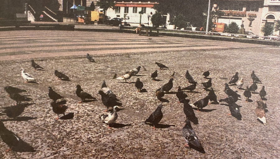 Hace 25 años: Guerra a las palomas y homenaje al Parrulo