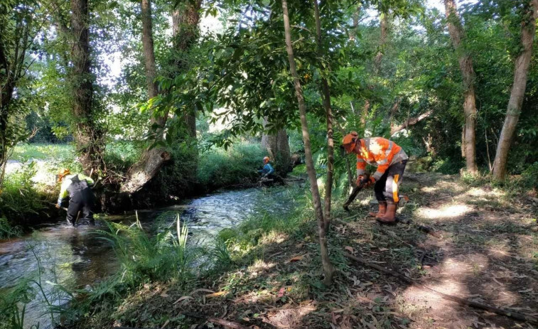 Augas de Galicia limpia un tramo interurbano del río Condomiñas de Cedeira