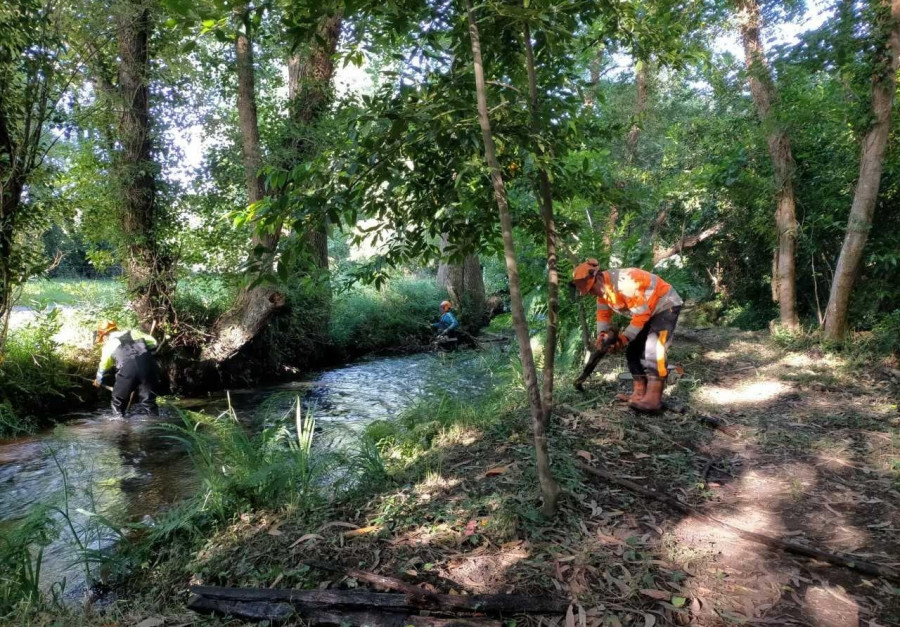 Augas de Galicia limpia un tramo interurbano del río Condomiñas de Cedeira