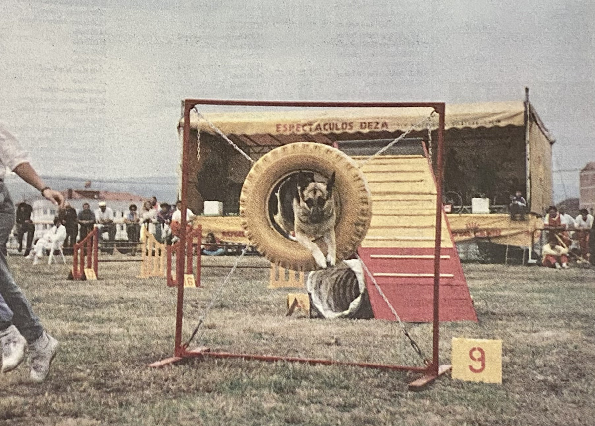 Festival Canino en la Feria de Muestras en 1996