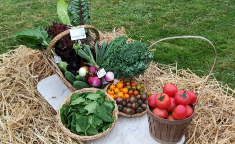 A horta de Porta: fruta y verdura de temporada, del campo a la mesa