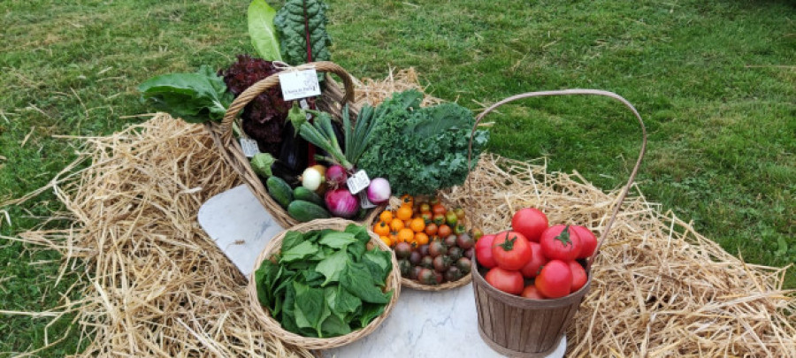 A horta de Porta: fruta y verdura de temporada, del campo a la mesa