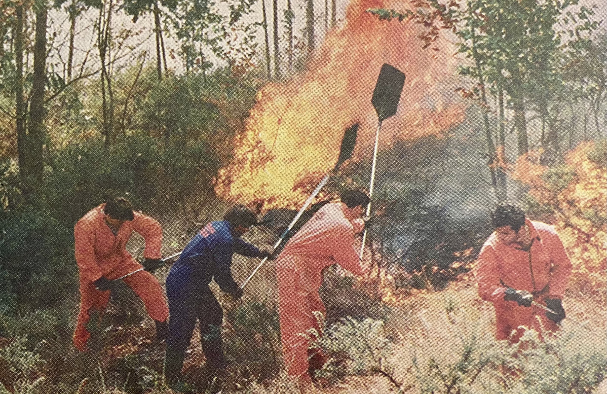 Cuadrilla para apagar incendios en 1996
