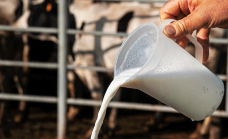 La leche alcanza los precios más altos desde 2013