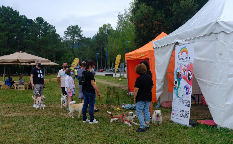 Cabanas refuerza su posición de concello “amigo dos cans” con el I Festival Xiracán