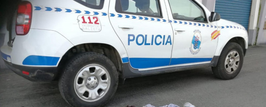La Xunta pide al Gobierno más efectivos para la Policía Autonómica