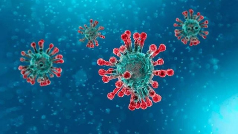 La OMS analiza una nueva variante del coronavirus detectada por primera vez en Colombia