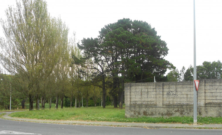 Ferrol amplía el número de parques para perros con un nuevo espacio en Caranza