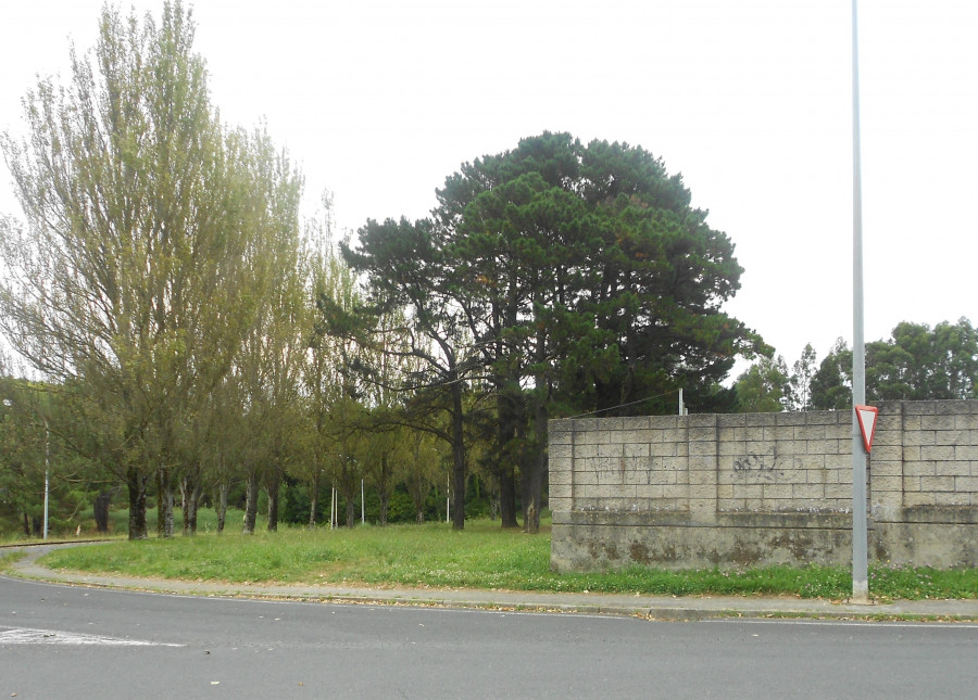 Ferrol amplía el número de parques para perros con un nuevo espacio en Caranza
