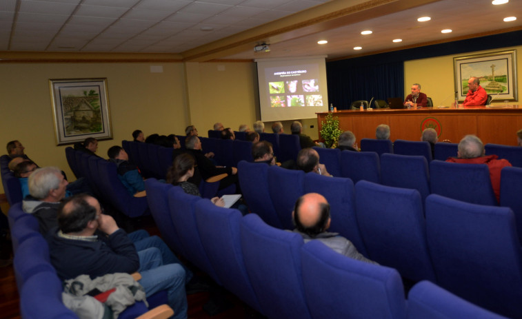 La Xunta celebrará la próxima semana un curso de aplicación de productos fitosanitarios