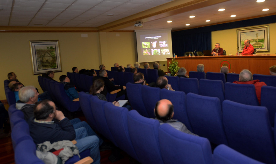 La Xunta celebrará la próxima semana un curso de aplicación de productos fitosanitarios